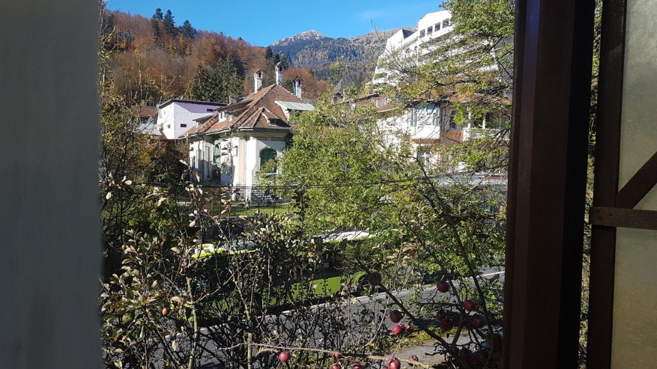 Pensiunea Casa Noastra Sinaia Exterior photo