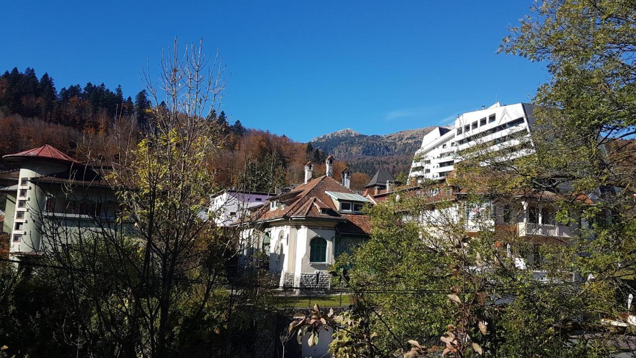 Pensiunea Casa Noastra Sinaia Exterior photo